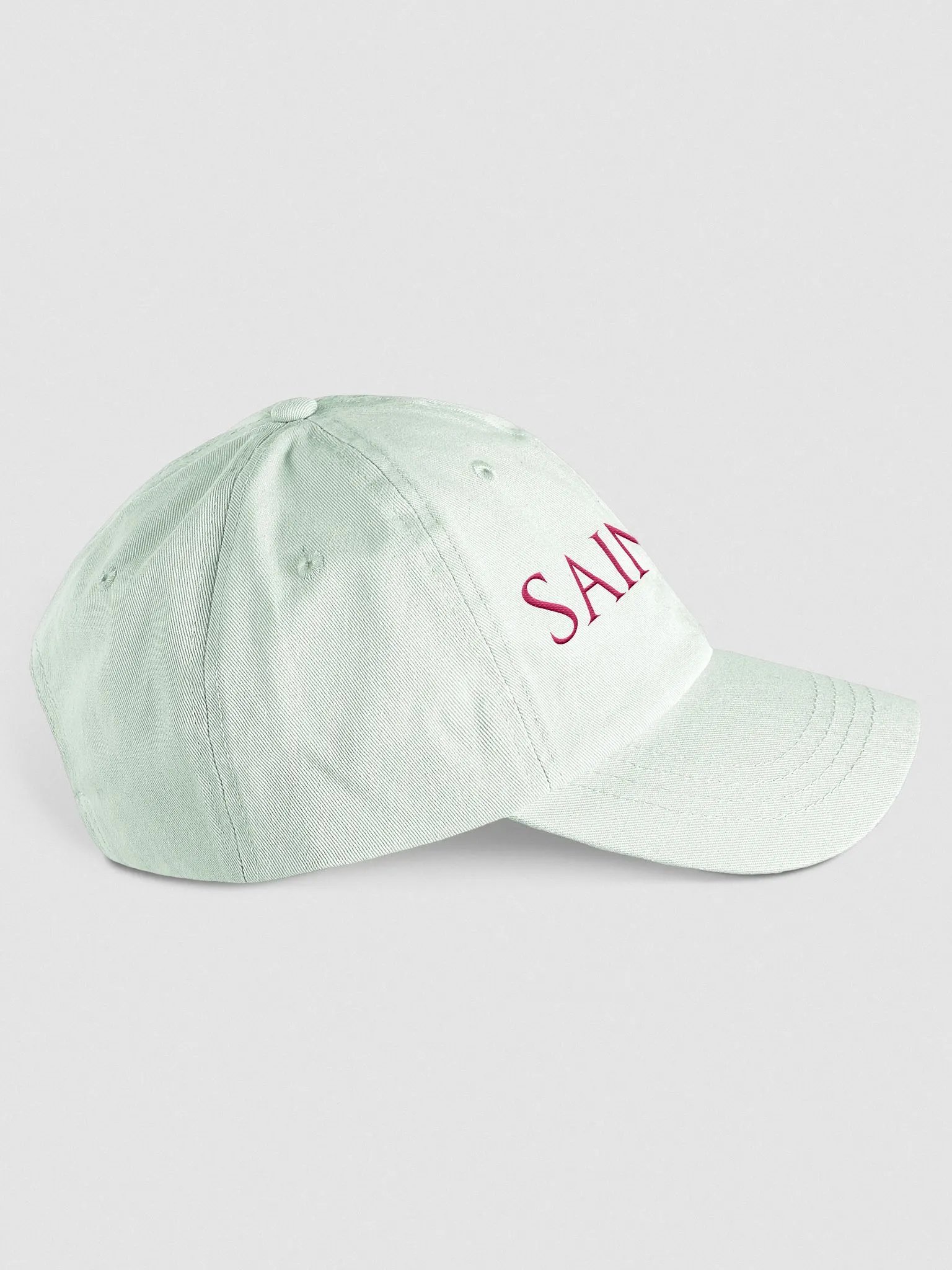SAINTLIKE HAT MUTED product image (4)