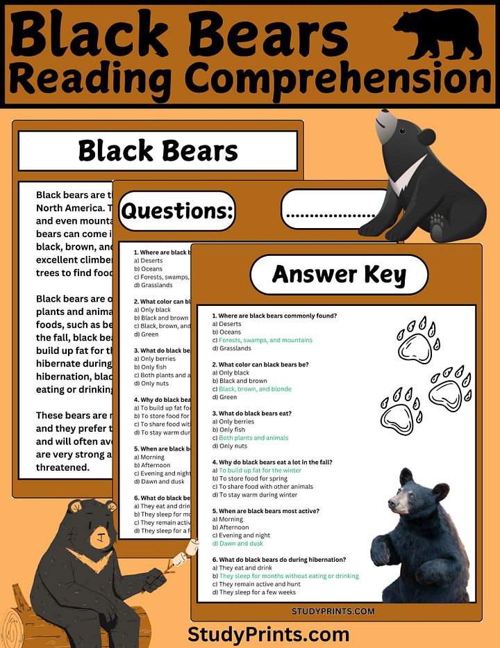 Black Bear Reading Comprehension Passage with 6 Questions product image (1)