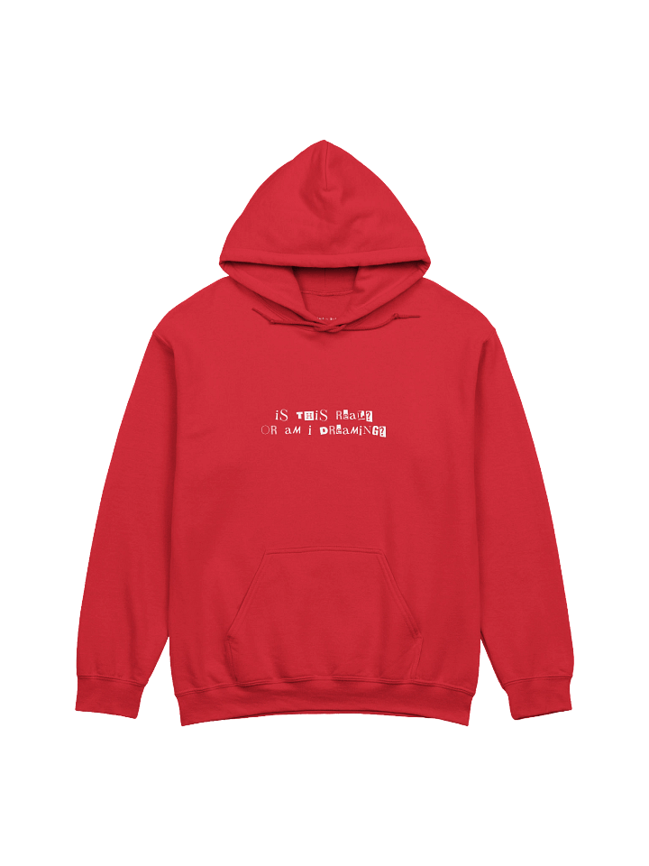 Is This Real / Am I Dreaming Hoodie product image (1)