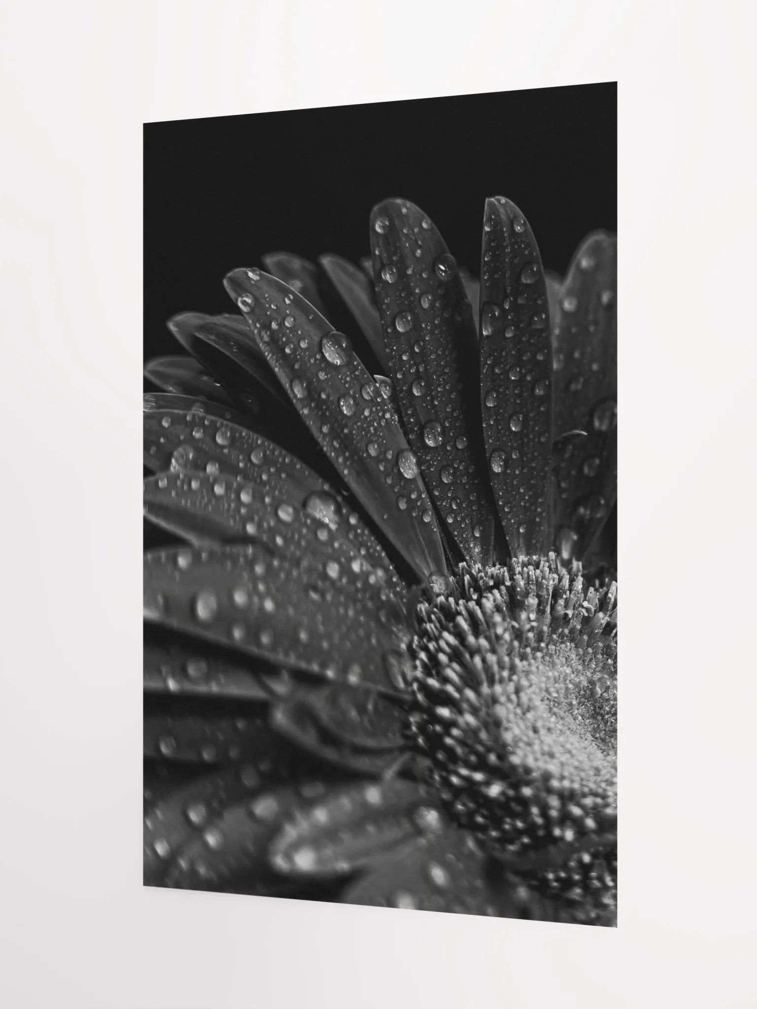 Dark Flower product image (8)
