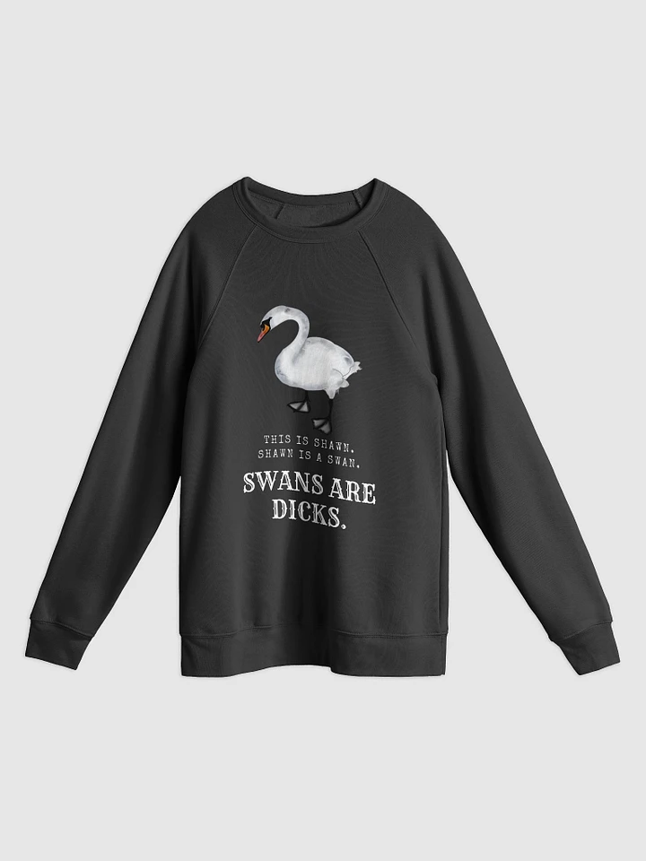 Shawn the Swan sweatshirt product image (1)