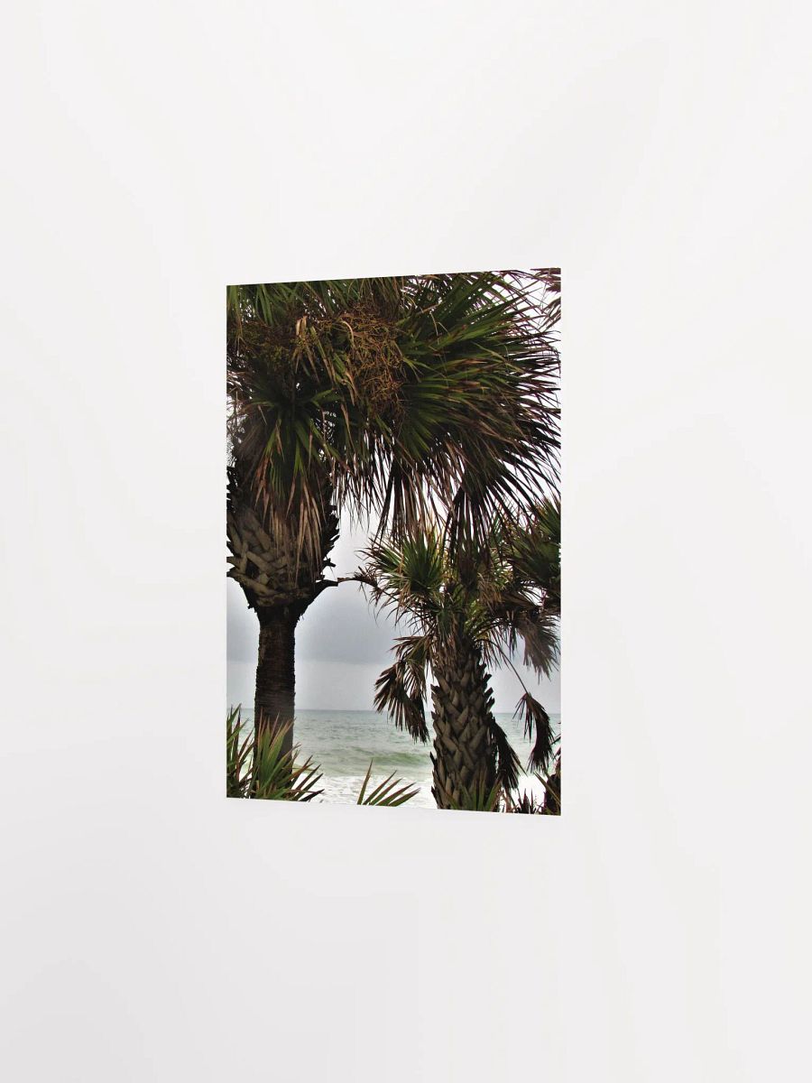Ormond Beach 3 product image (16)