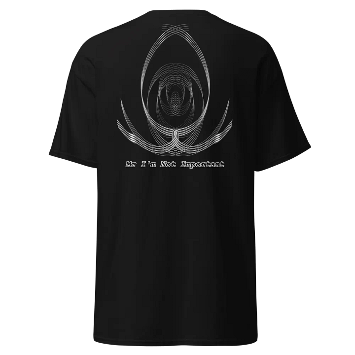 Aaron - Embroidered - Heavyweight T-Shirt - Mr. I'm Not Important product image (1)