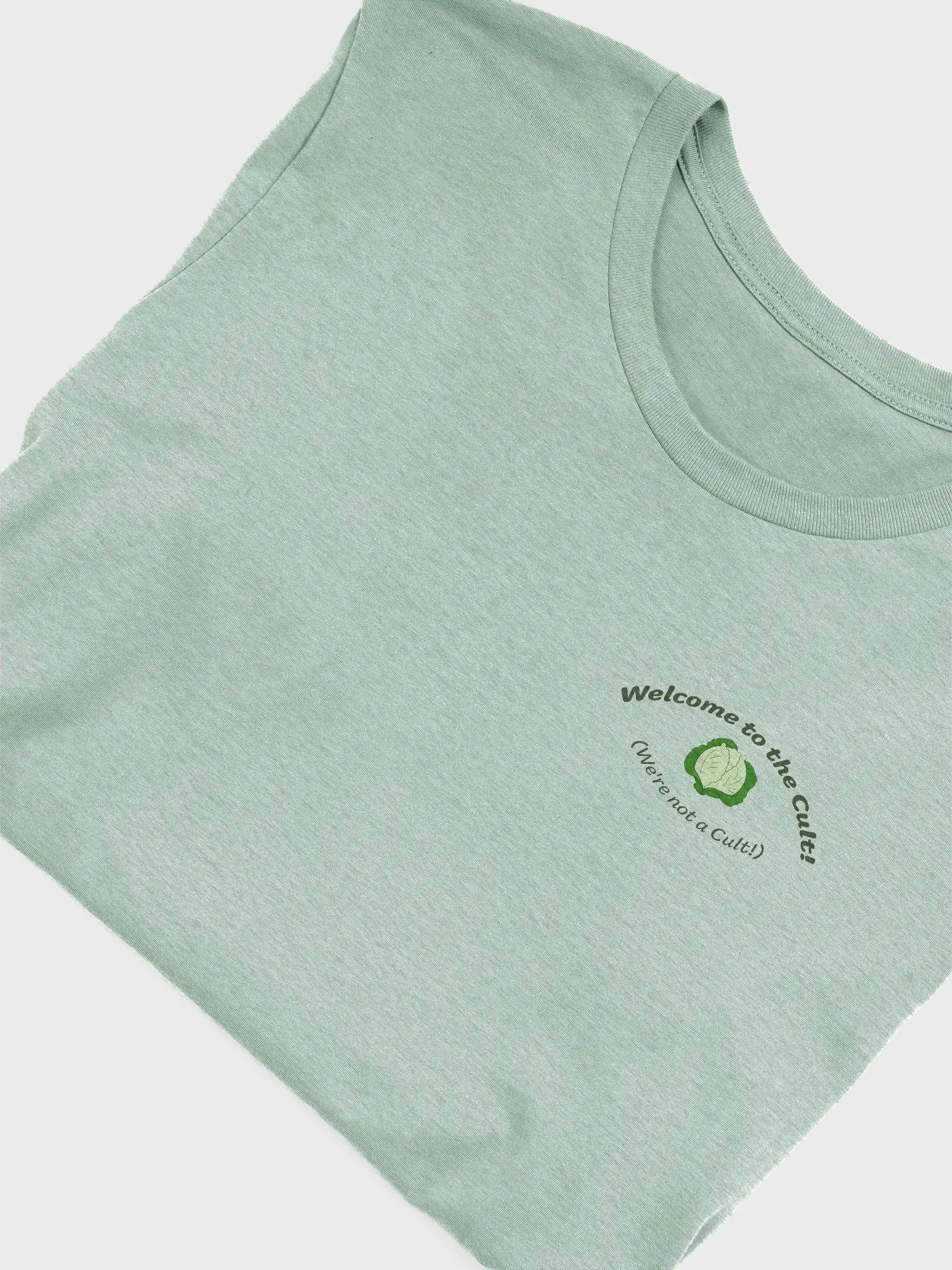Welcome to the Cult tee product image (1)