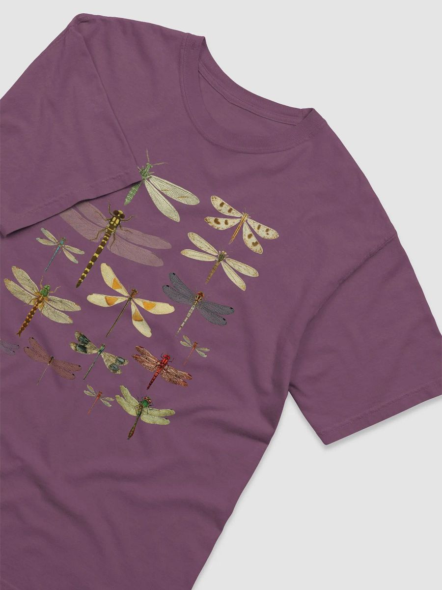 Various Types of Dragonflies T-Shirt | Vintage-Style Goblincore and Fairycore Shirt for Entomology and Insect Enthusiasts product image (3)