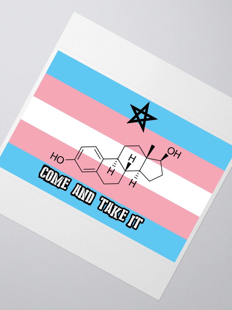 Come and Take It (sticker edition) product image (2)