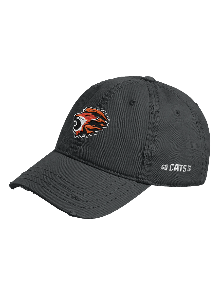 Orange Cats Beat Up Hat product image (2)