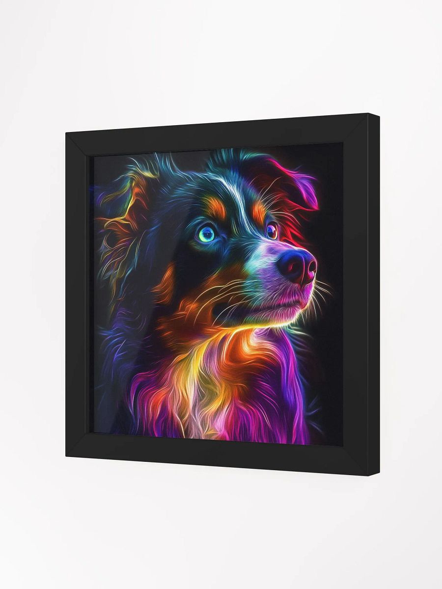 Australský ovčák, zářící product image (24)