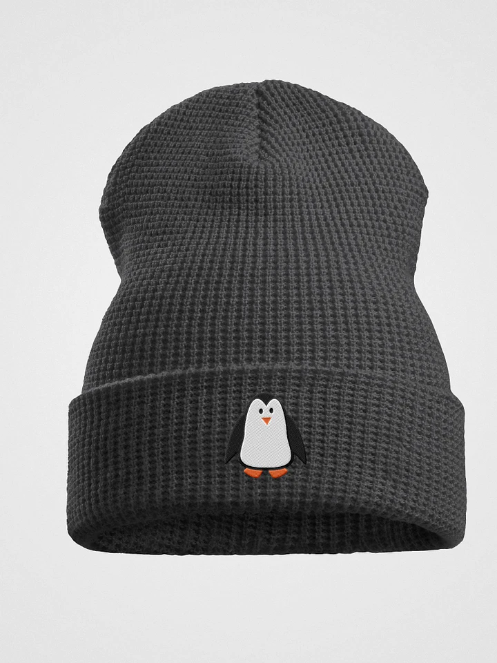 TLC Beanie 2 product image (2)