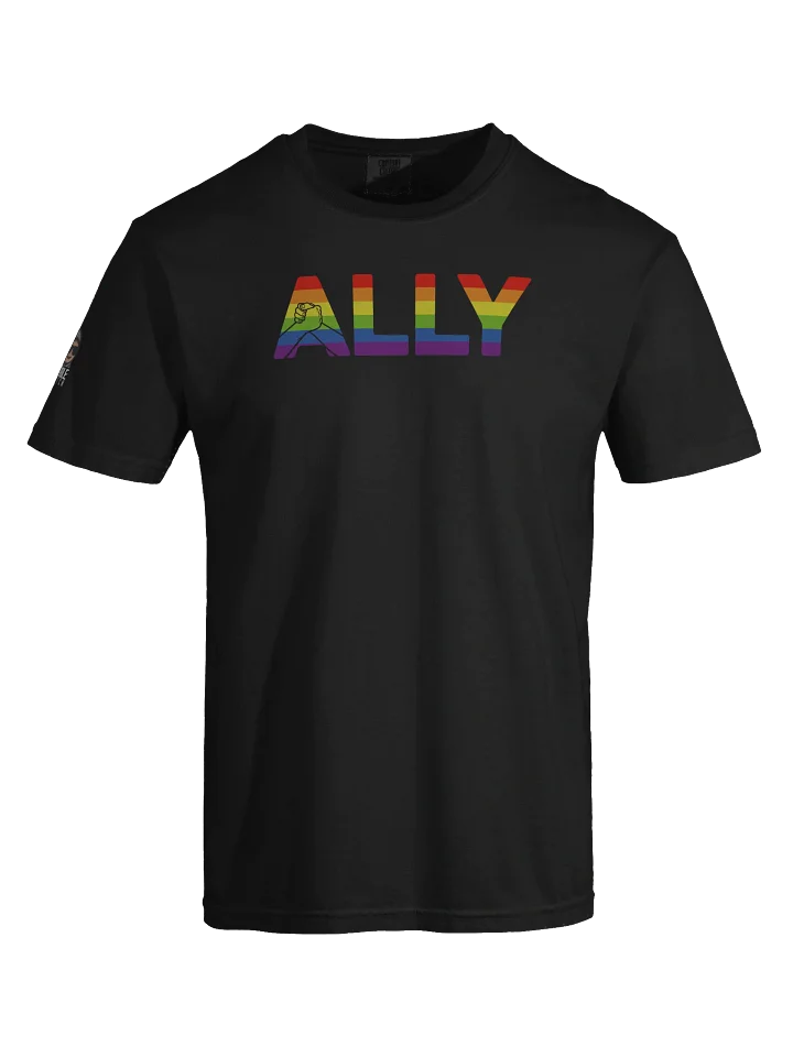 Ally Rainbow Connection Unisex Tee product image (1)