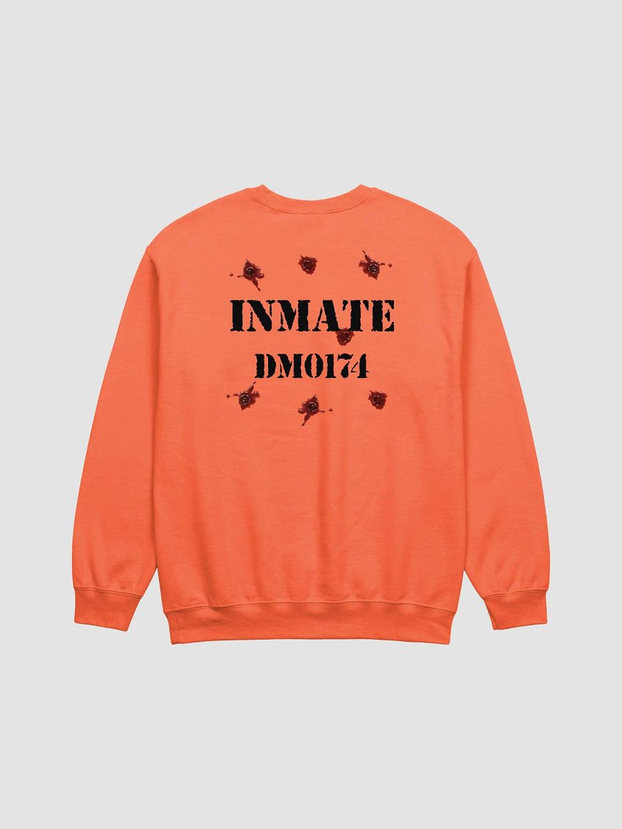 Prison Break's Rashkovsky (Gildan 18000) product image (2)