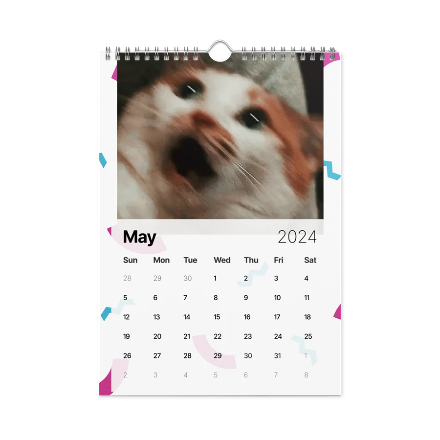 Wall Calendar (2024): Meme Cats product image (14)