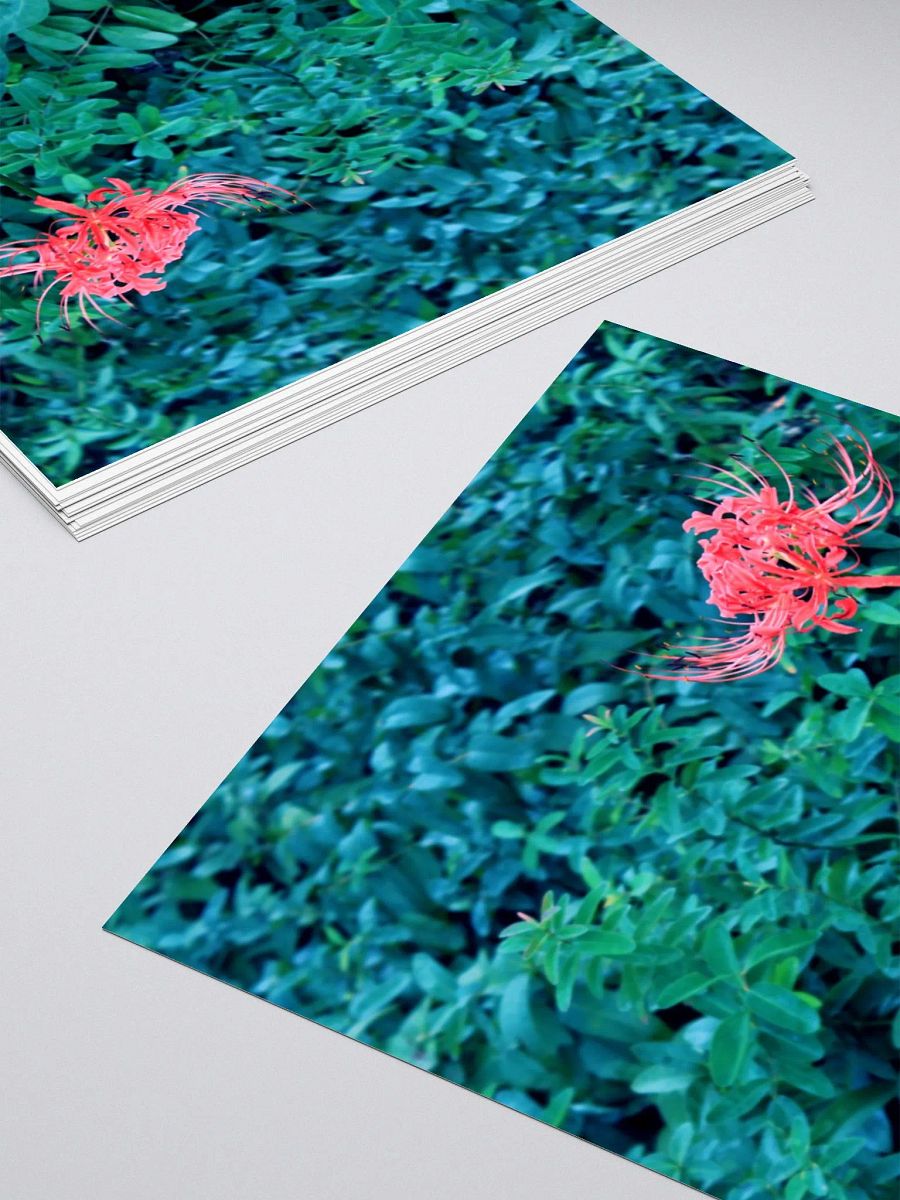A Study in Flowers 10 - sticker version product image (14)