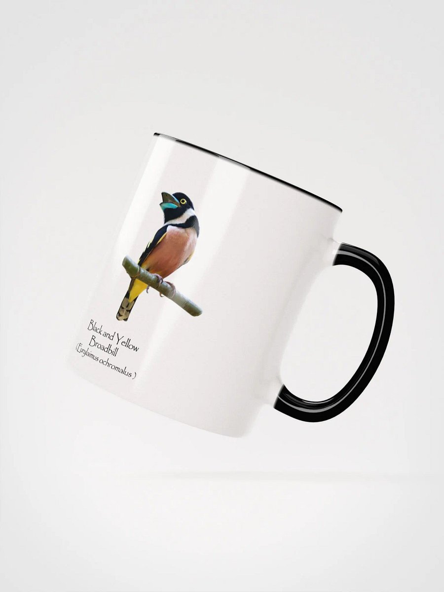Black and Yellow Broadbill mug product image (18)