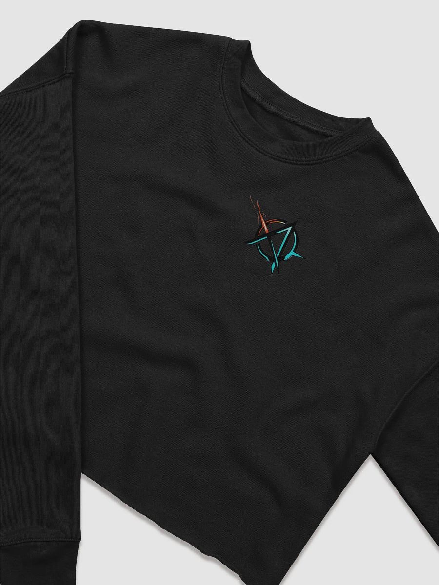 Anarchy Crop Top product image (10)