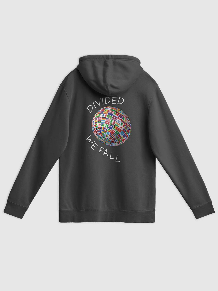 Divided We Fall - Nations - Globe - Independent Trading Co. Pigment Dyed Hoodie (BACK) product image (1)
