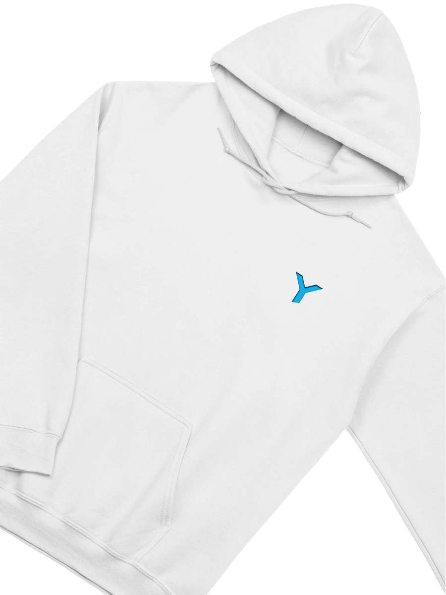 YEAHMAP - HOODIE - BASIC product image (3)