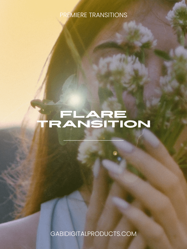 Premiere Pro MRR/PLR Editing TRANSITIONS product image (6)