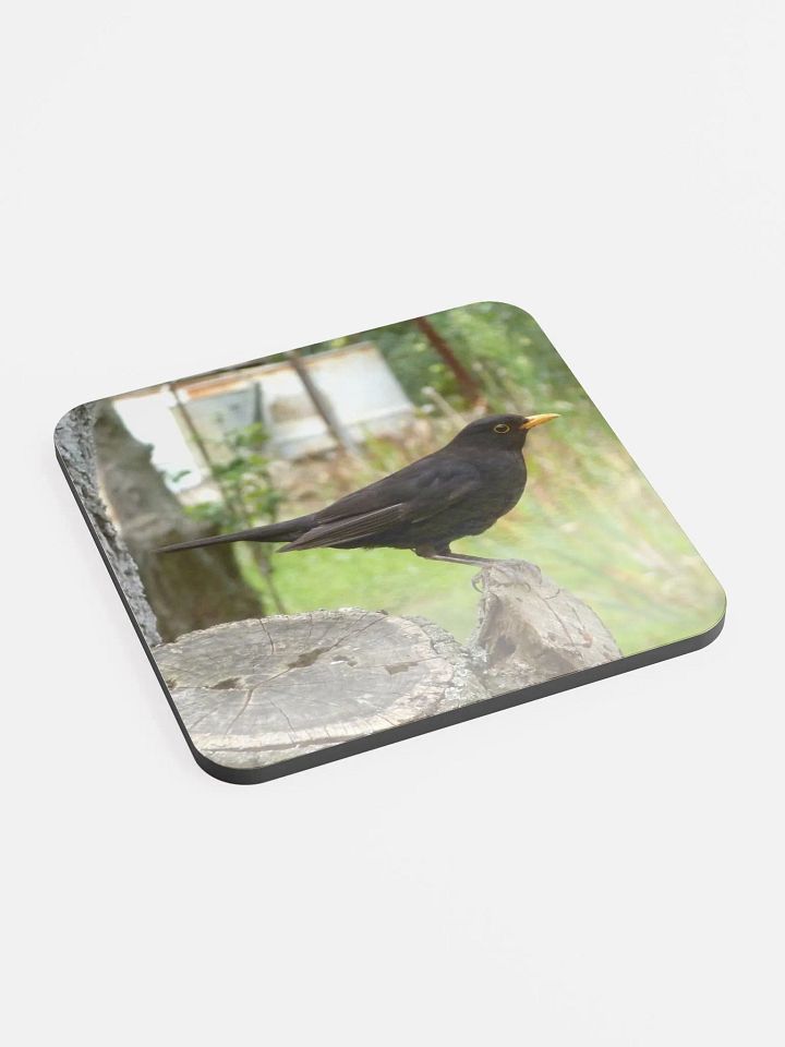 Glossed Cork Coaster - The common blackbird product image (2)