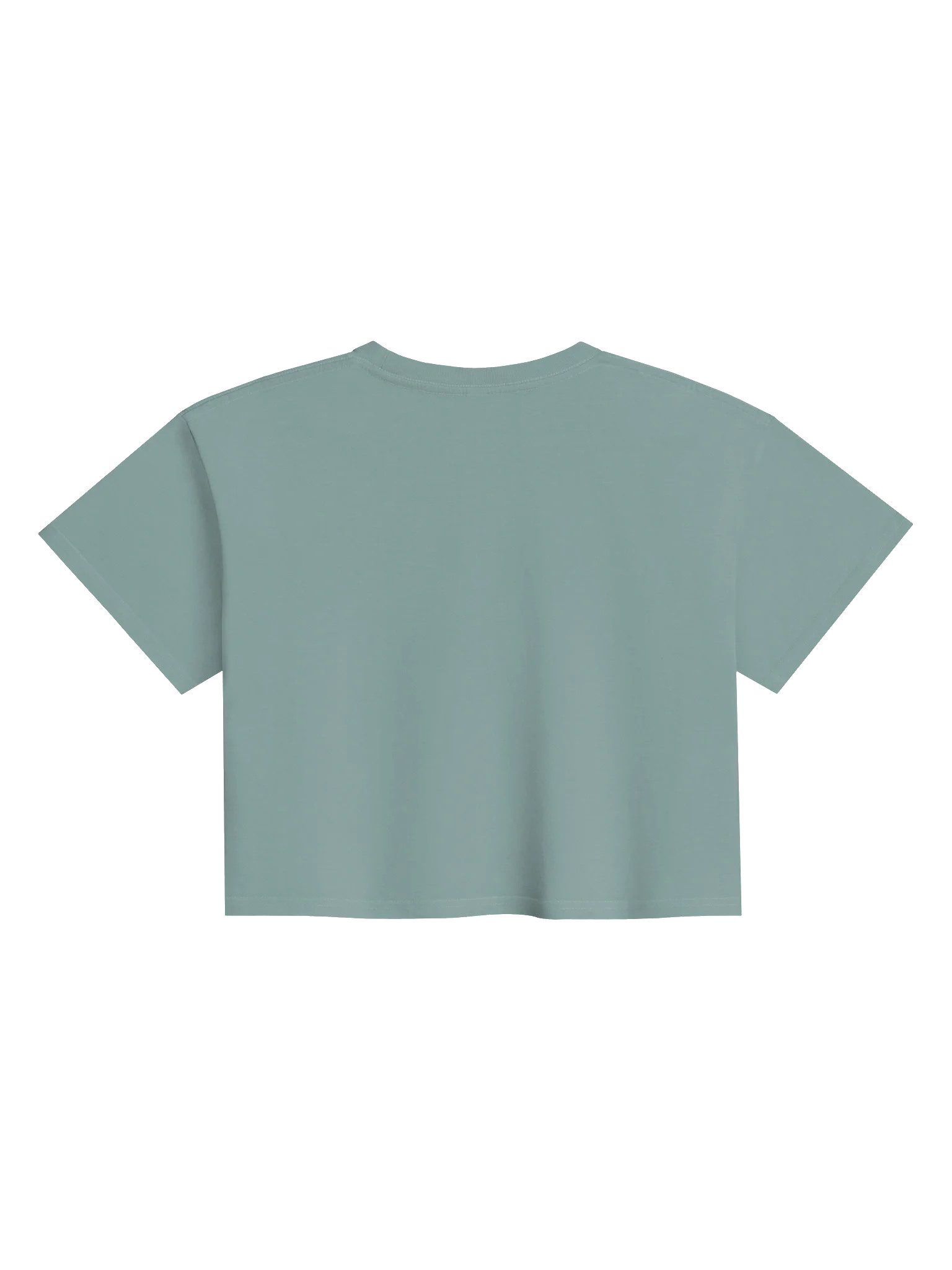 "Rich Energy” Statement Crop Top product image (7)