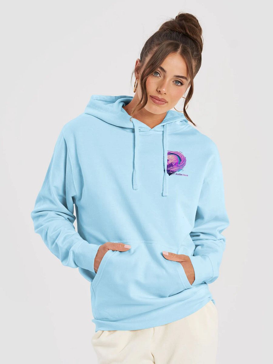 Audiacious Project D Hoodie Light product image (19)