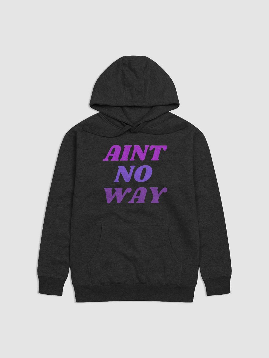 Aint no way hoodie product image (2)