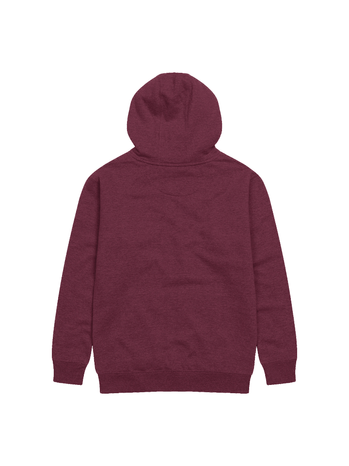 (Pwincess) Cryptid Cave Moth Hoodie product image (8)