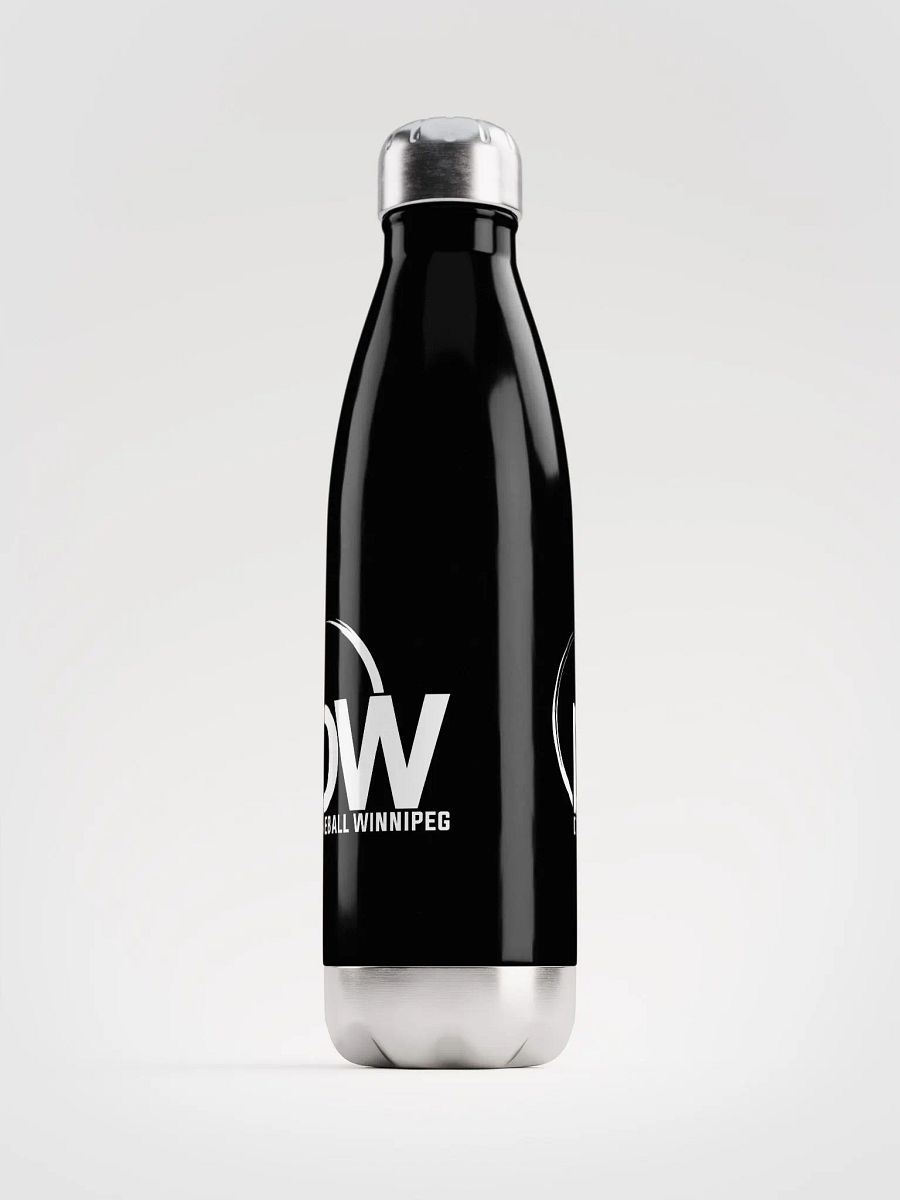 Dodgeball Winnipeg Stainless Steel Water Bottle product image (2)