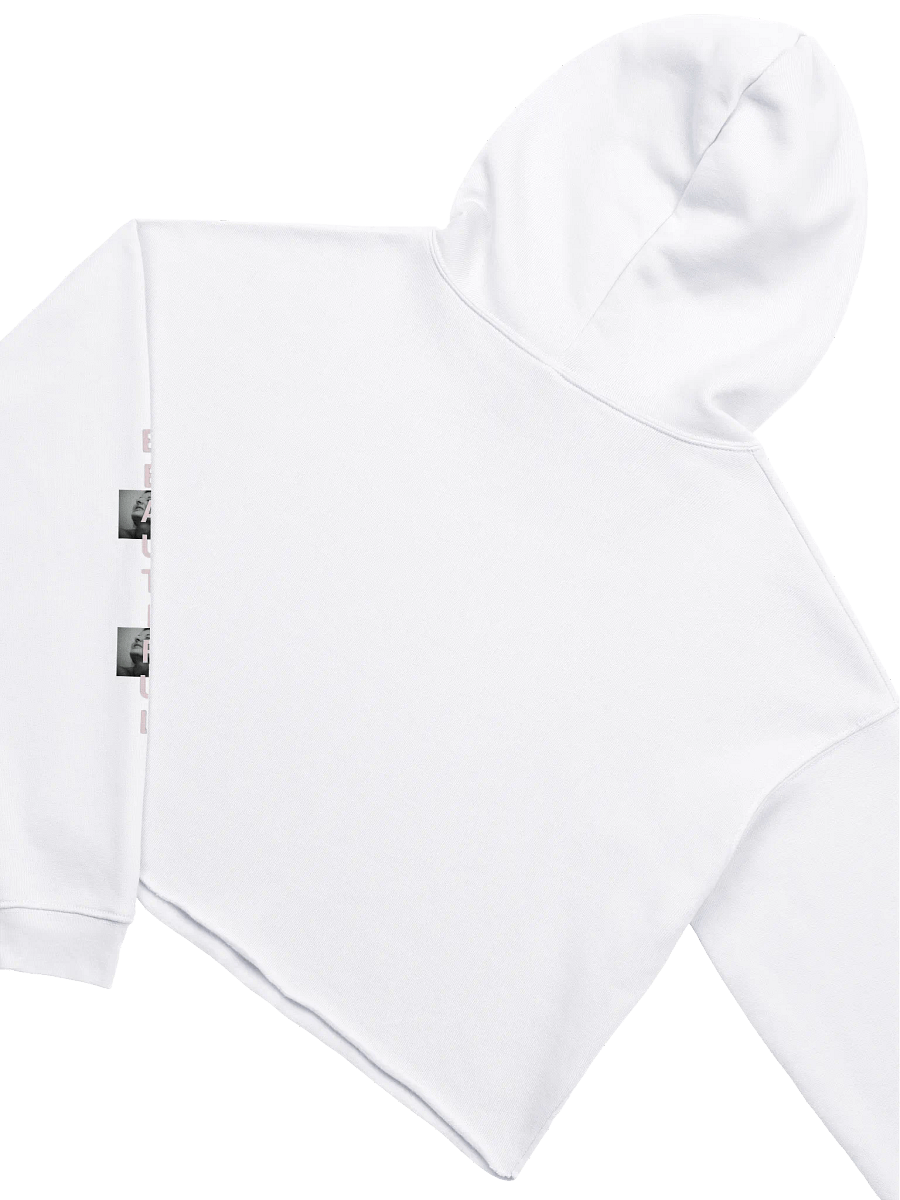 ARTIST MUST CROP HOODIE product image (4)