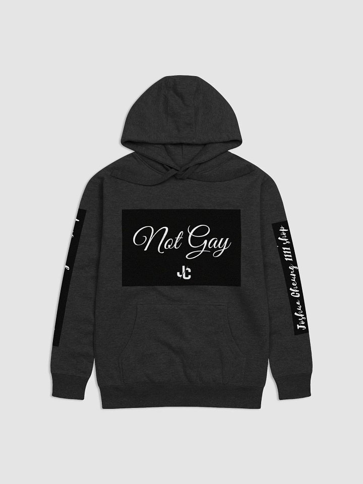 JC not gay hoodie product image (1)