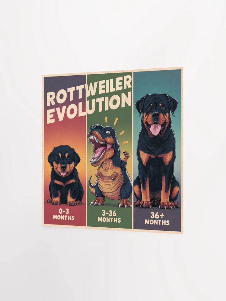 Rottweiler Evolution Poster product image (7)