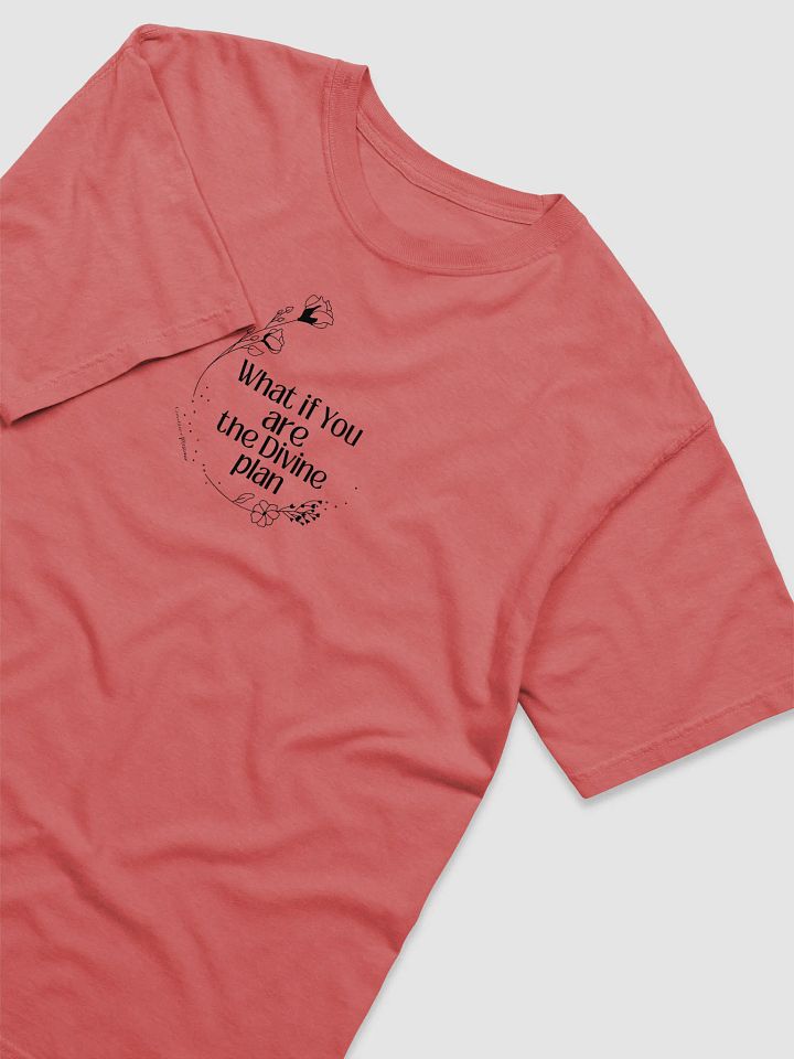 What If You Are The Divine Plan - Unisex Tee product image (26)