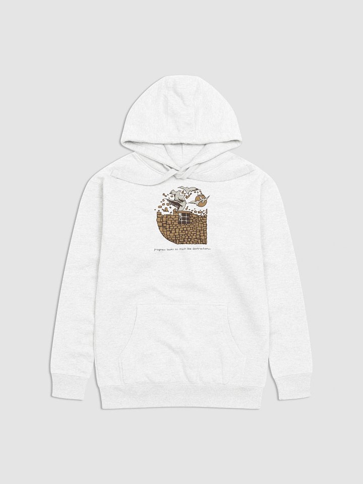 Carhartt Freedom Hoodie product image (1)