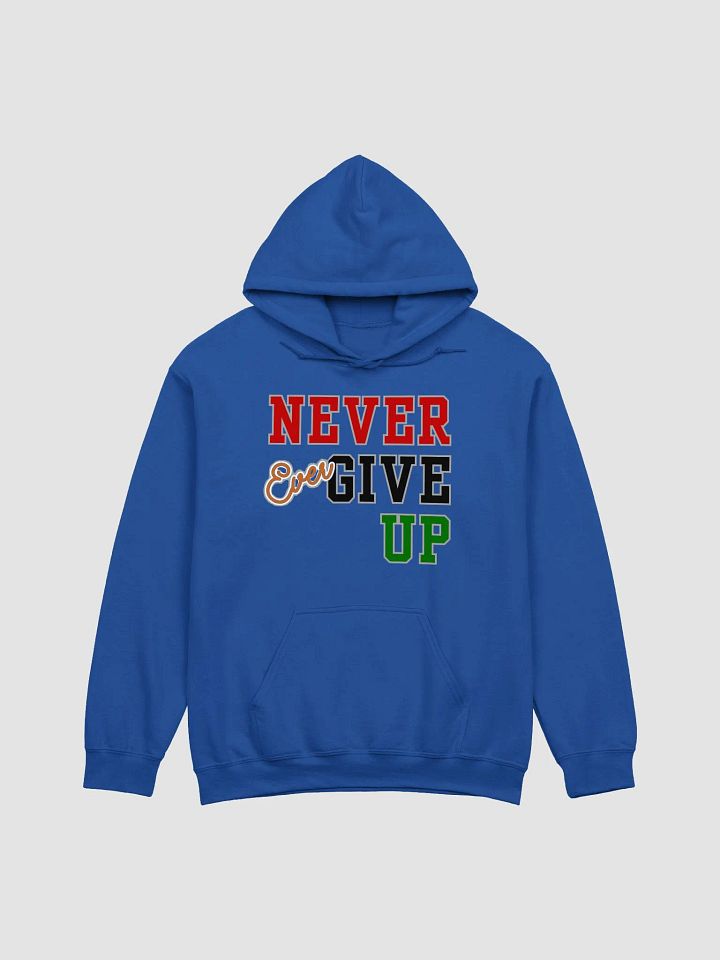 Never Ever Give Up product image (17)