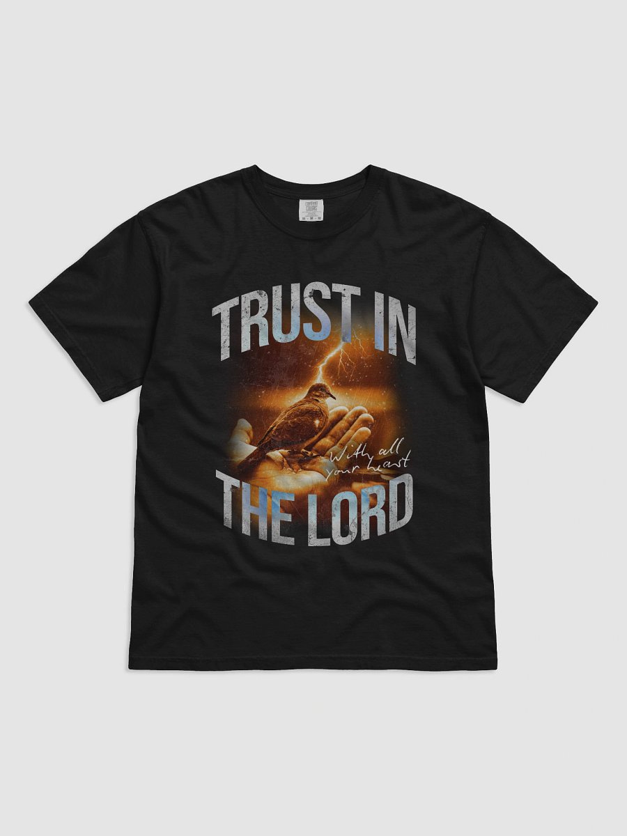 Trust In God With All Your Heart Heavyweight Tee product image (1)