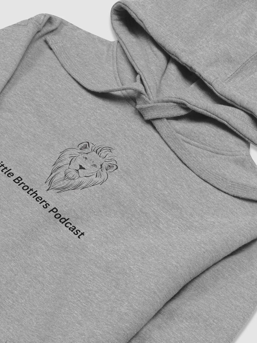 LBP Hoodie product image (3)