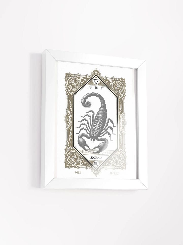 HERMETIC ZODIAC 8X10 Scorpio product image (2)