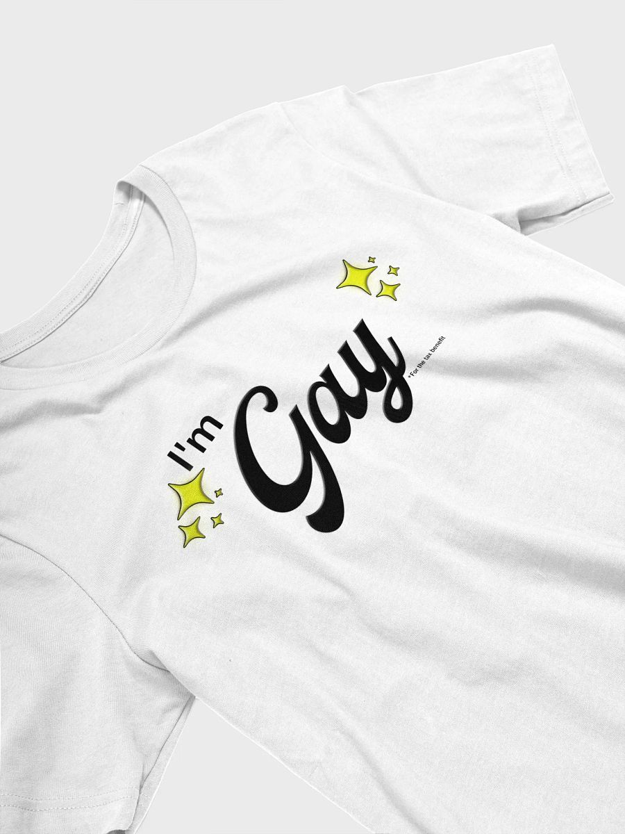 I'm Gay (for the tax benefit) Charity Tee product image (3)