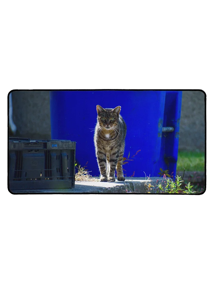 Tabby on the Prowl (Desk/Mouse Mat) product image (1)