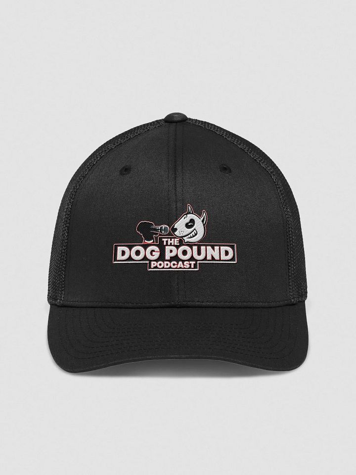 Dog Pound Podcast FLEX Hat product image (1)