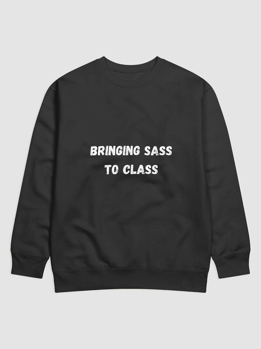 Bringing Sass to Class - Sassy and Fun Back to School Sweatshirts product image (1)