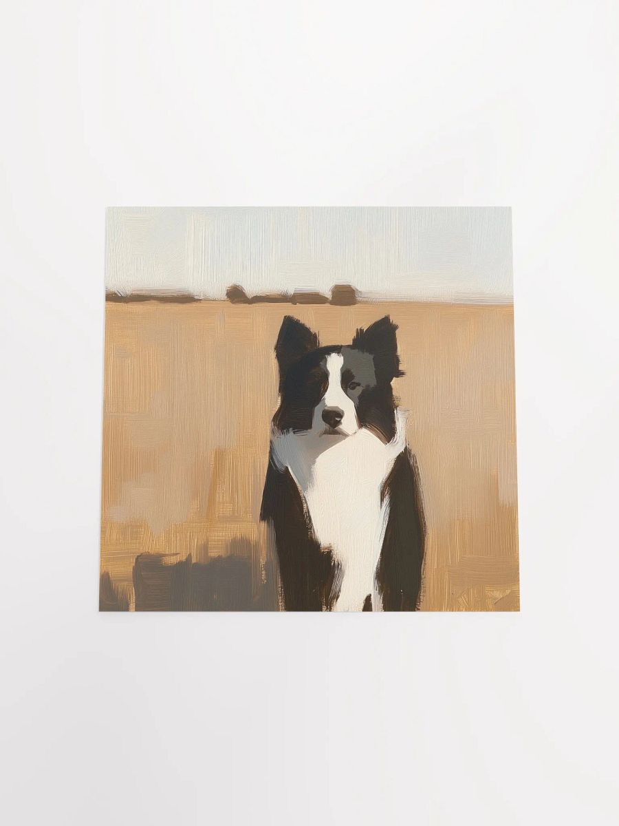 Modern Farmhouse: Border Collie I Art Print product image (4)