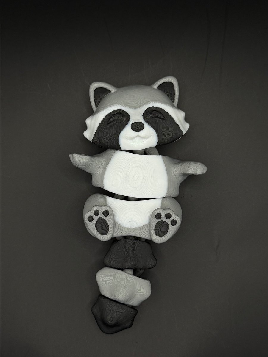 Rusty the flexi raccoon product image (1)