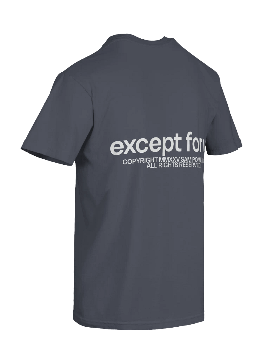 Except For Us Threshold Tee 2 product image (39)