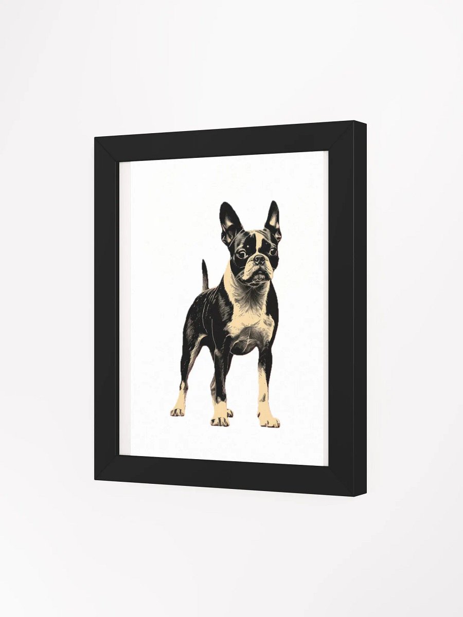 Boston Terrier product image (24)