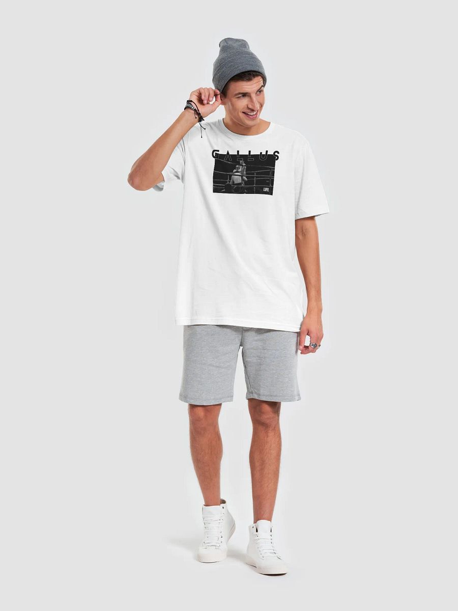 Gallus 2025 Life Collection product image (6)