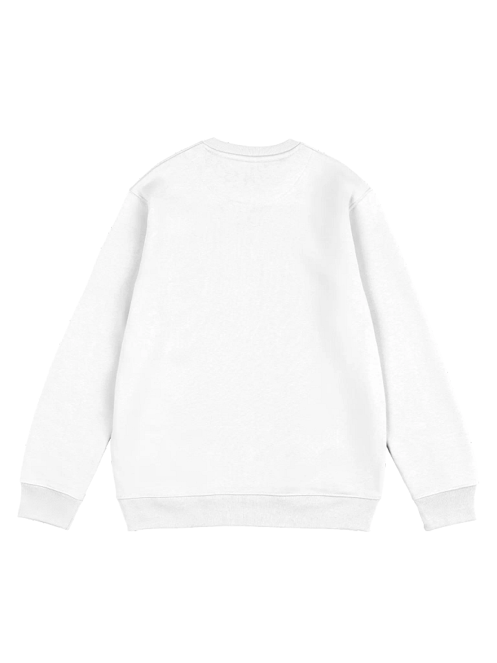 Praise be to Pomnut Organic Sweater product image (5)