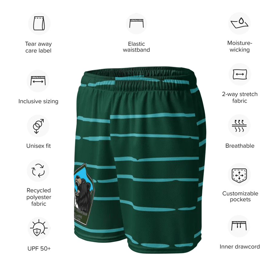 Logo Mesh Shorts product image (4)