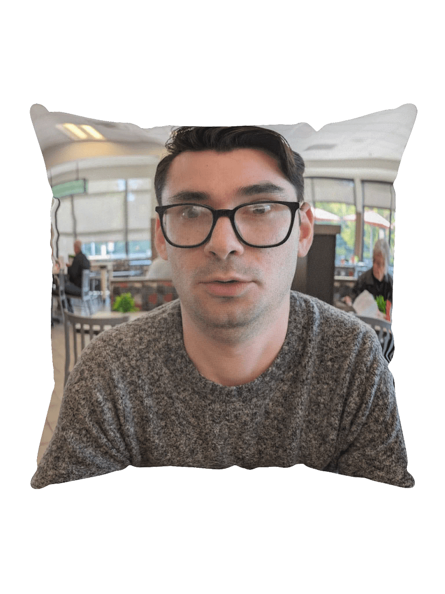 Steinscape Print Pillow product image (5)