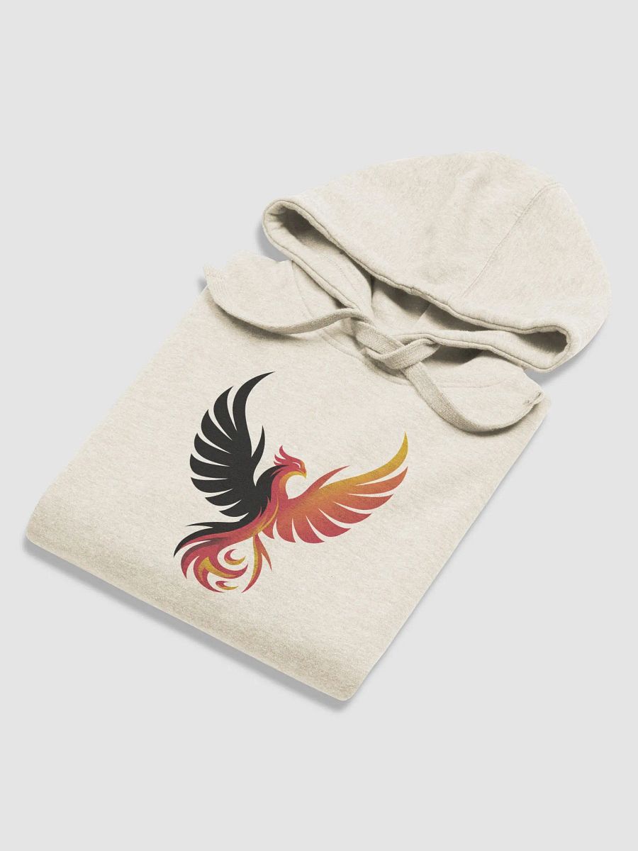 Rise & Conquer Hoodie product image (22)